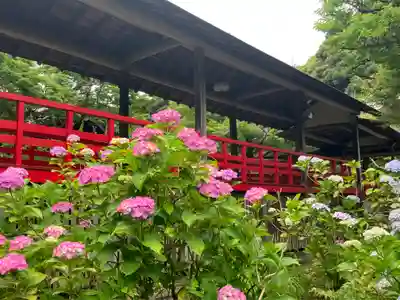 本土寺(千葉県)