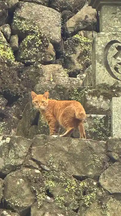 大威徳寺(大阪府)