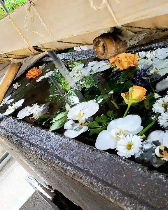 鳩森八幡神社の手水舎