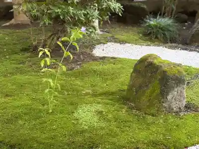 報国寺(神奈川県)