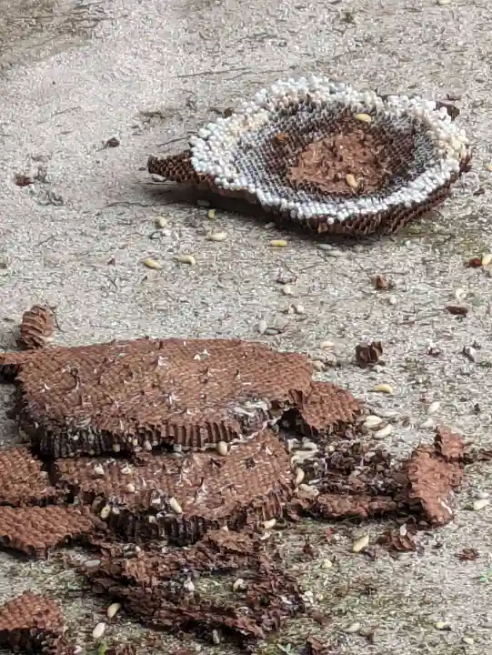 石内のお大師さん 金剛院(広島県)