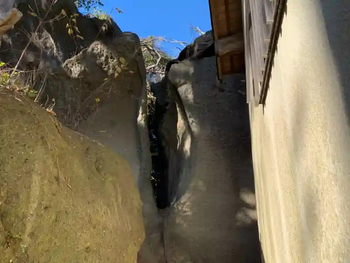 海南刀切神社の自然