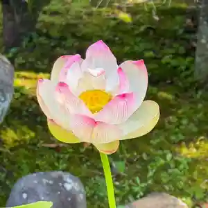 伊勢の国 四天王寺(三重県)(2025年06月19日(木) 11時16分12秒投稿)