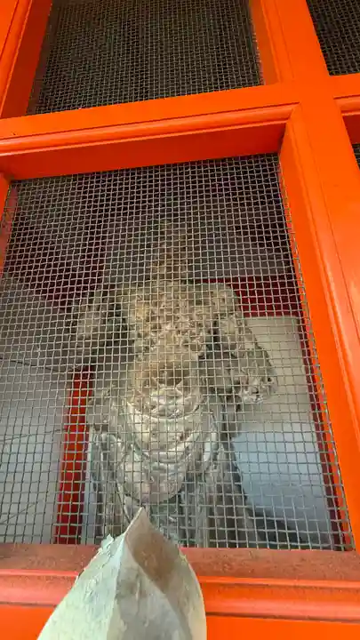 妙法寺(京都府)