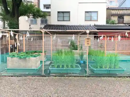 浅草神社の庭園