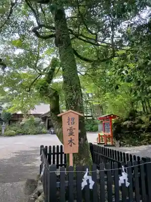 霧島神宮(鹿児島県)