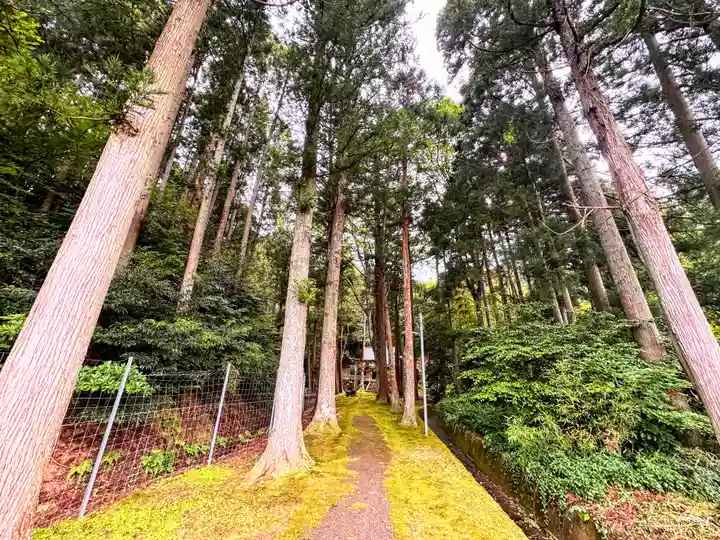 八幡神社(福井県)