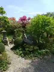 光明寺の建物その他