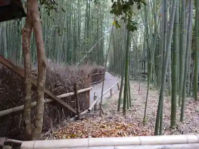 野宮神社(京都府)
