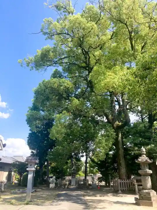 大神神社(花池)(愛知県)
