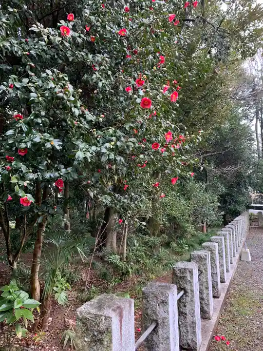 佐野赤城神社の自然