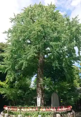 七社神社(東京都)