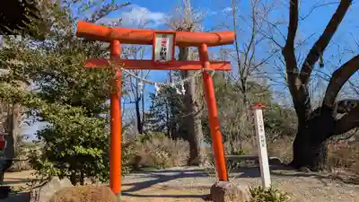 花の尾曳弁財天（尾曳稲荷神社）の鳥居