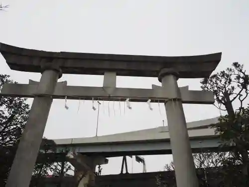隅田川神社の鳥居