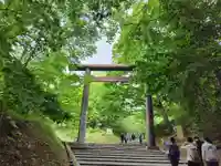 北海道神宮の鳥居