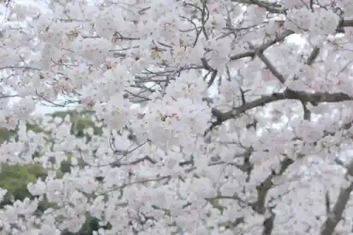 粉河寺(和歌山県)