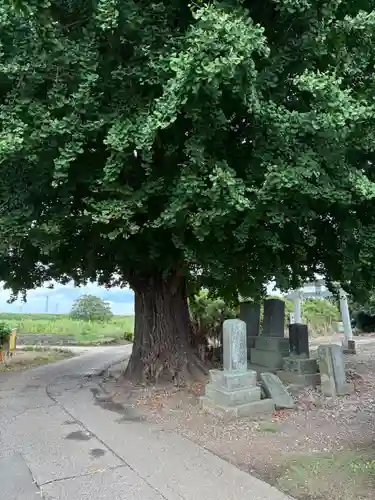 八幡神社(千葉県)