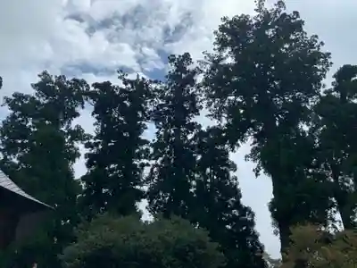 村山浅間神社(静岡県)