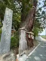 大國魂神社の自然