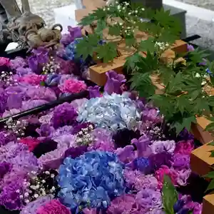 帯廣神社の手水舎(2023年07月14日(金) 17時20分49秒投稿)