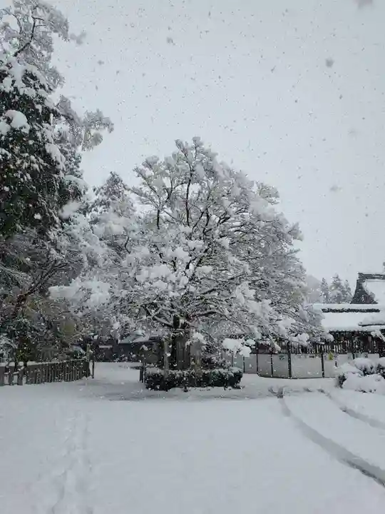 沙沙貴神社の自然