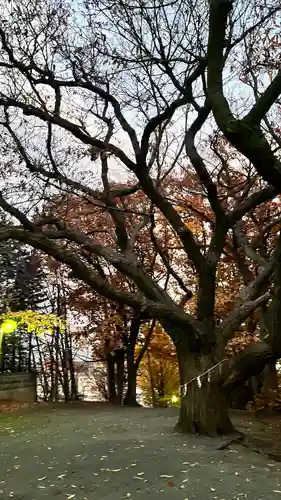 相馬神社の自然