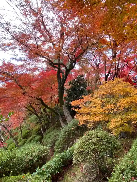華厳寺(鈴虫寺)(京都府)