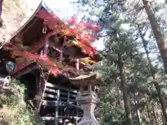 圓融寺 奥の院 （岩井堂）(埼玉県)