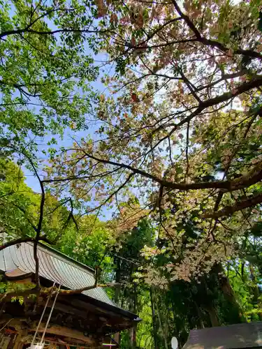 磐椅神社(福島県)