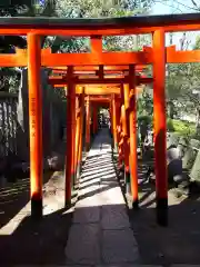 根津神社の鳥居