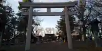 鷹栖神社の鳥居