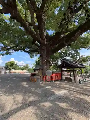 百舌鳥八幡宮(大阪府)