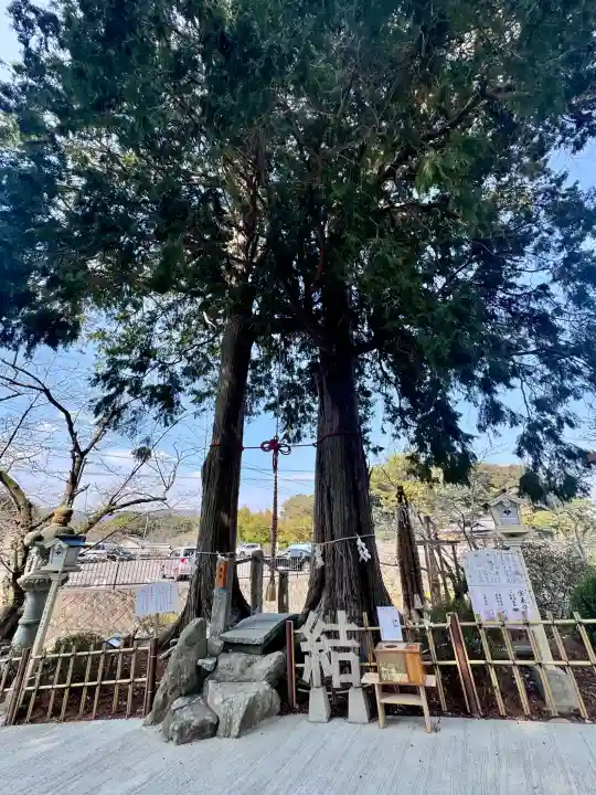 武雄神社の{uncategorized: "未分類", other: "その他", undefined: "問題あり", building: "その他建物", grave: "お墓", sacred_gate: "鳥居", guardian: "狛犬", statue: "像", buddha: "仏像", history: "歴史", nature: "自然", garden: "庭園", animal: "動物", pagoda: "塔", temizu: "手水舎", mountain_gate: "山門・神門", sanctuary: "本殿・本堂", subordinate: "末社・摂社", art: "芸術", scenery: "景色", jizo: "地蔵", ema: "絵馬", goshuin: "御朱印", omikuji: "おみくじ", items: "授与品その他", amulet: "お守り", goshuincho: "御朱印帳", eats: "食事", festival: "お祭り", votive_dance: "神楽", shichigosan: "七五三参", wedding: "結婚式", experience: "体験その他", initially: "初詣", around: "周辺", anti_infection: "感染症対策"}