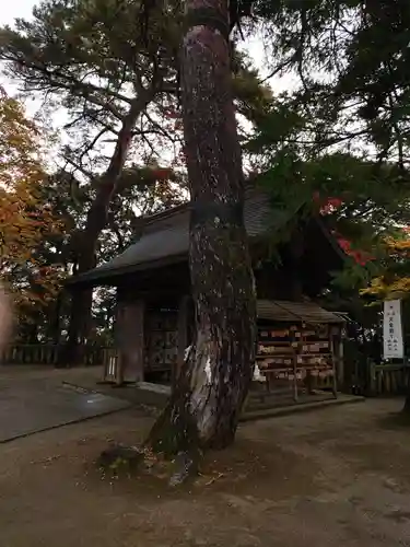 唐澤山神社の自然