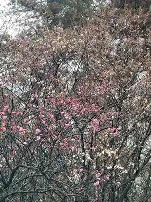 千代ケ岡八幡宮(栃木県)