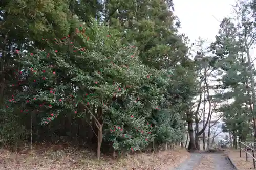 安達太良神社の景色