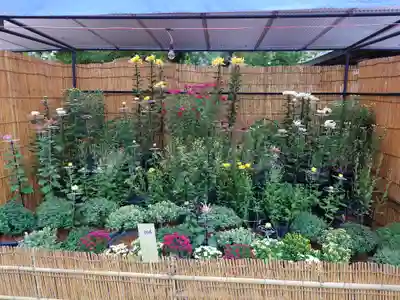 宗像大社(福岡県)