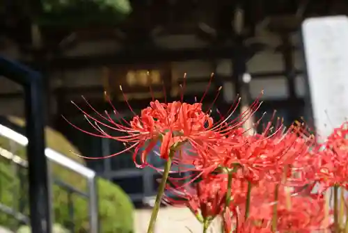 宗隆寺の自然