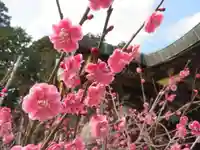 常宮神社(福井県)