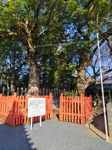 鞆呂岐神社(大阪府)