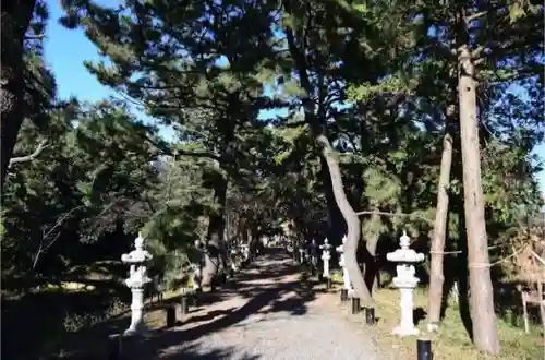 鶴嶺八幡宮の自然