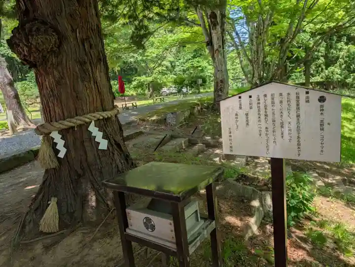 土津神社|こどもと出世の神さま(福島県)