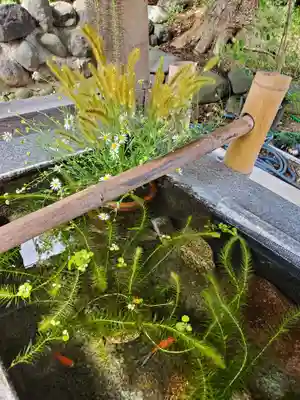 高司神社〜むすびの神の鎮まる社〜(福島県)