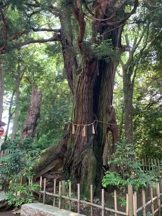 宝珠院観音堂(千葉県)