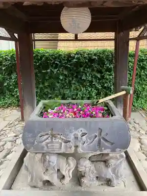 於菊稲荷神社(群馬県)