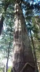 明建神社の建物その他