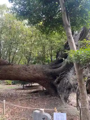 泉穴師神社(大阪府)