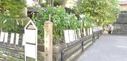 素盞雄神社のその他建物