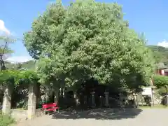 宇治神社(京都府)