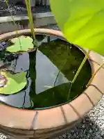 玉塔院(栃木県)